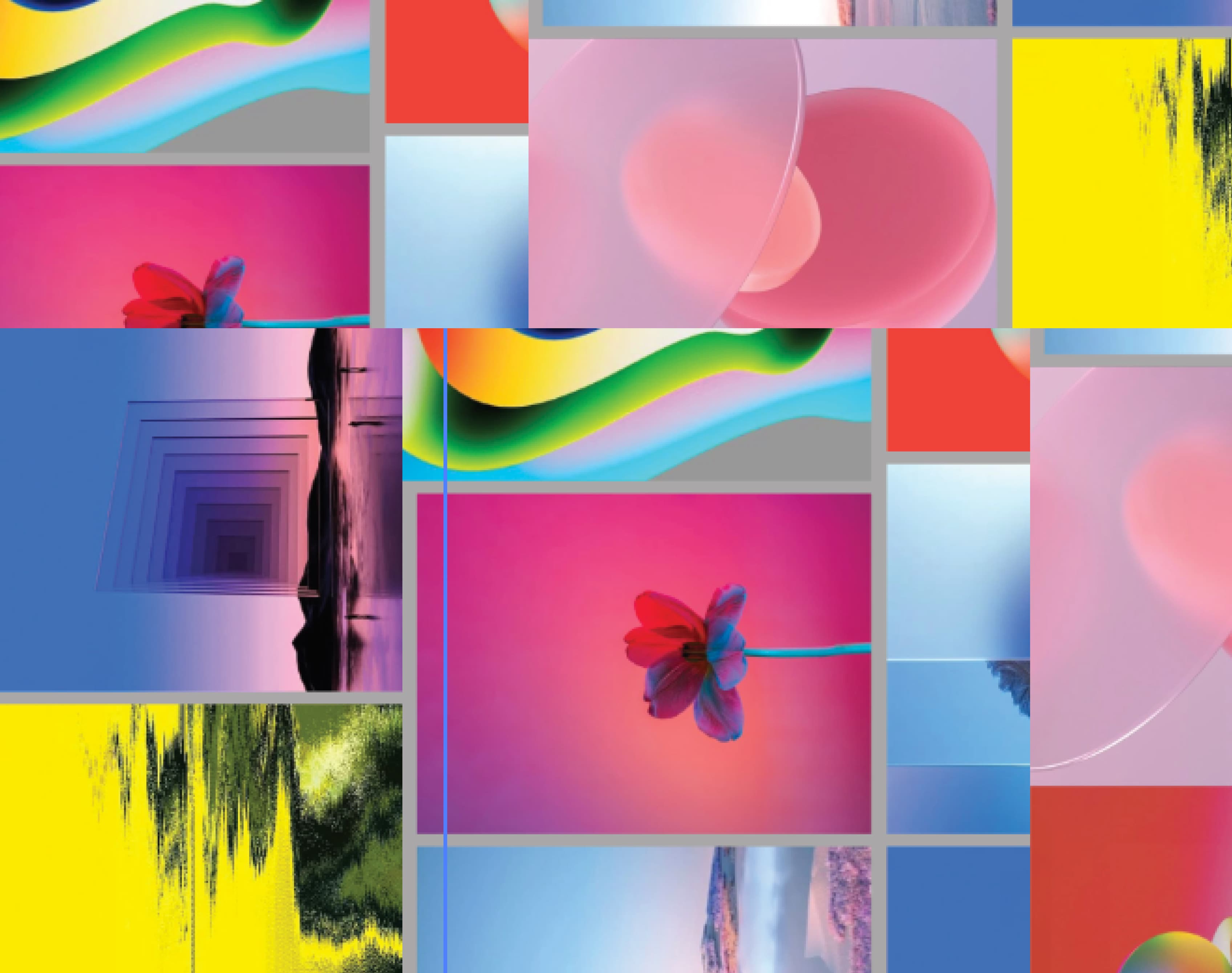 Portfolio background